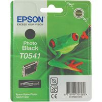 Epson T0541 (C13T054140) Druckerpatrone - Foto-Schwarz
