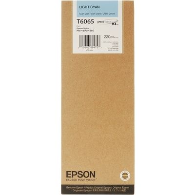 Epson C13T606540 - Hellcyan - Druckerpatrone