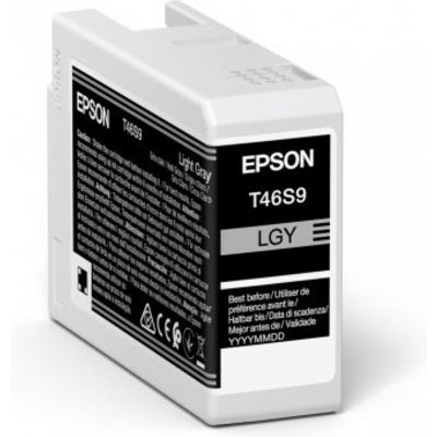 Epson T46S9 - Hellgrau - Druckerpatrone