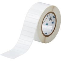 Brady THT-53-423-3 Etikett Polyester glänzend weiß (50,8 x 12,7 mm)
