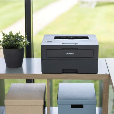 Brother HL-L2445DW - Laserdrucker