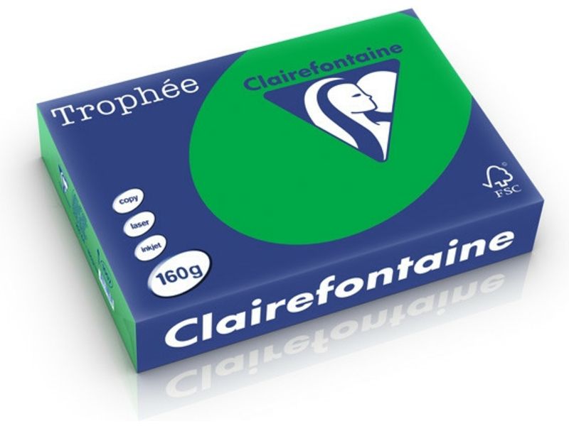 Clairefontaine Billard Grün Farbiges Papier A4 160 g/m² (250 Blatt)