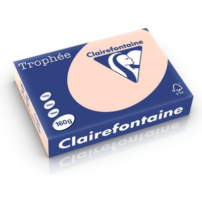 Clairefontaine Lachsfarbenes Papier A4 160 g/m² (250 Blatt)