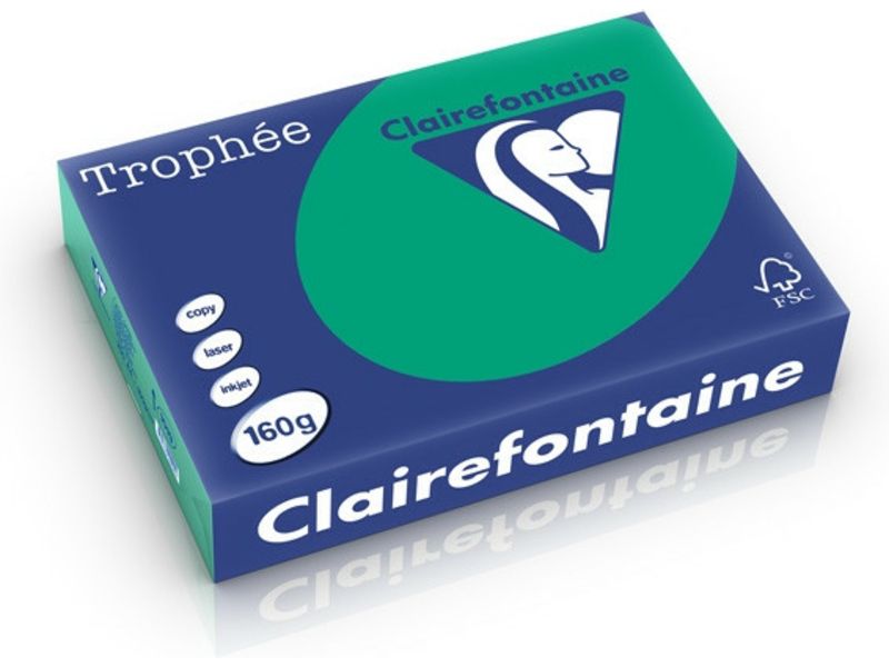 Clairefontaine Tannengrün A4 Farbiges Papier 160 g/m² (250 Blatt)