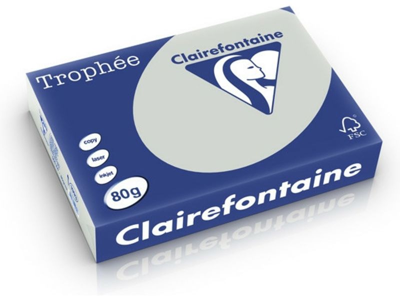 Clairefontaine Hellgrau A4 Farbiges Papier 80 g/m² (500 Blatt)