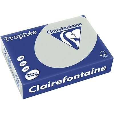 Clairefontaine Hellgrau A4 Farbiges Papier 210 g/m² (250 Blatt)