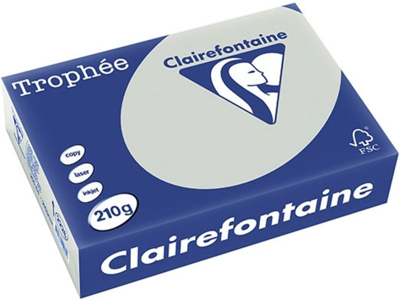 Clairefontaine Hellgrau A4 Farbiges Papier 210 g/m² (250 Blatt)