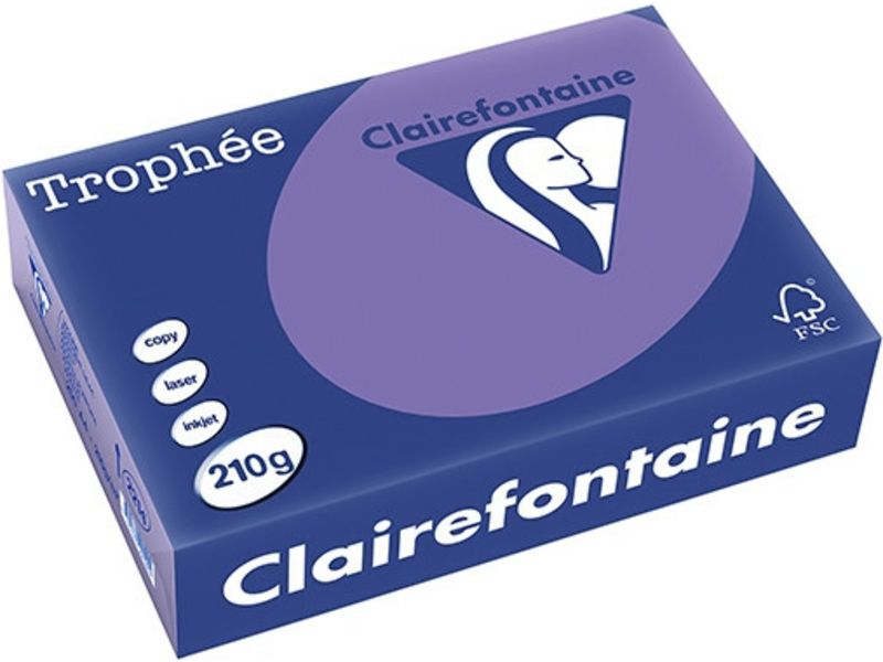Clairefontaine Violett A4 Farbiges Papier 210 g/m² (250 Blatt)