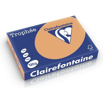 Clairefontaine Caramel A4 Farbiges Papier 120 g/m² (250 Blatt)