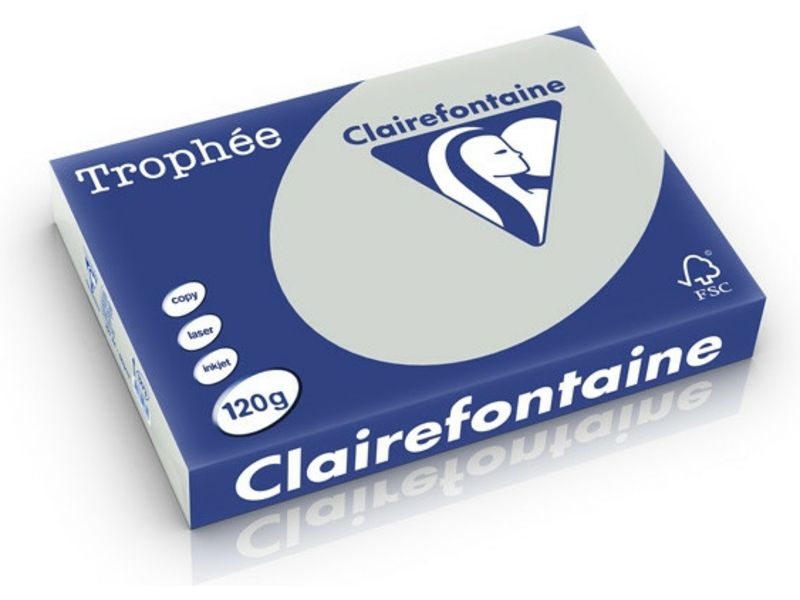 Clairefontaine Hellgrau A4 Farbiges Papier 120 g/m² (250 Blatt)