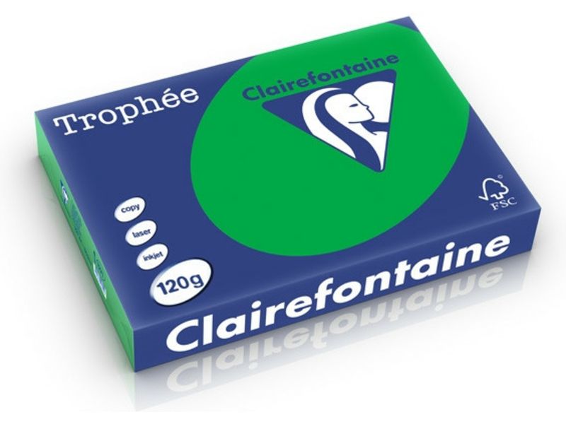 Clairefontaine Billard Grün A4 Farbiges Papier 120 g/m² (250 Blatt)