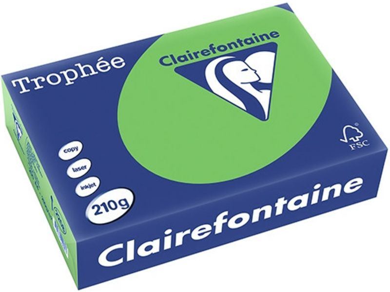 Clairefontaine Grasgrün A4 Farbiges Papier 210 g/m² (250 Blatt)