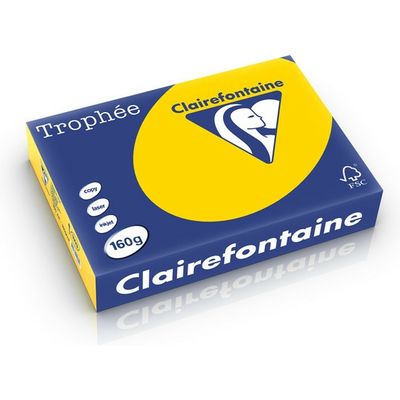 Clairefontaine Gold gelb A4 Farbiges Papier 160 g/m² (250 Blatt)