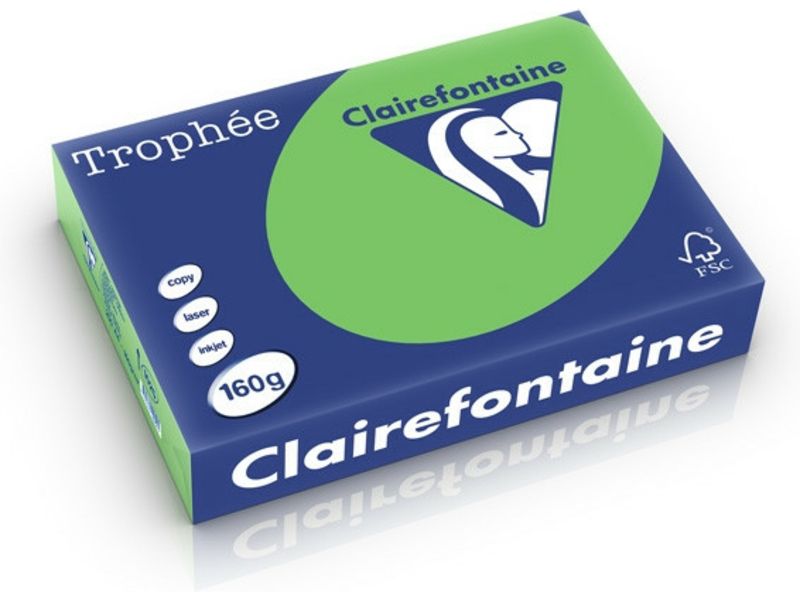 Clairefontaine Grasgrün A4 Farbiges Papier 160 g/m² (250 Blatt)