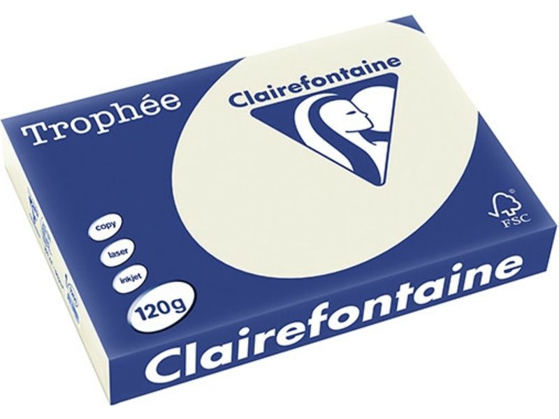 Clairefontaine Perlgrau A4 Farbiges Papier 120 g/m² (250 Blatt)