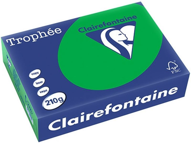 Clairefontaine Billard Grün Farbiges Papier A4 210 g/m² (250 Blatt)