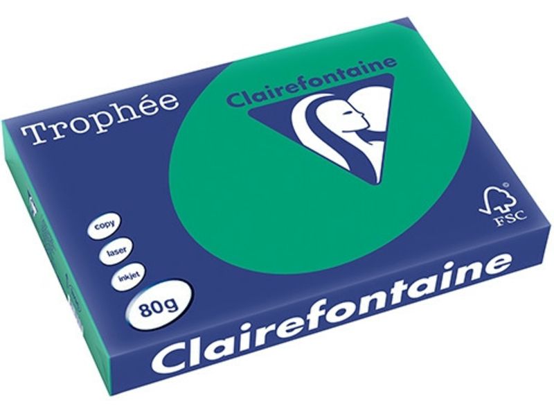 Clairefontaine Tannengrün A3 Farbiges Papier 80 g/m² (500 Blatt)