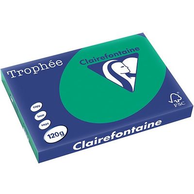 Clairefontaine Tannengrün A3 Farbiges Papier 120 g/m² (250 Blatt)