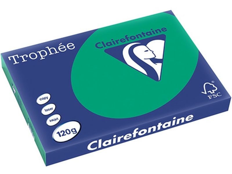 Clairefontaine Tannengrün A3 Farbiges Papier 120 g/m² (250 Blatt)