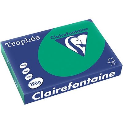 Clairefontaine Tannengrün A4 Farbiges Papier 120 g/m² (250 Blatt)