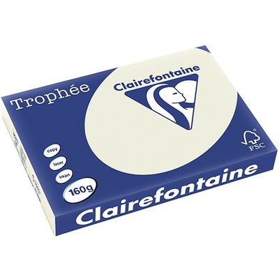 Clairefontaine Perlgrau A3 Farbiges Papier 160 g/m² (250 Blatt)