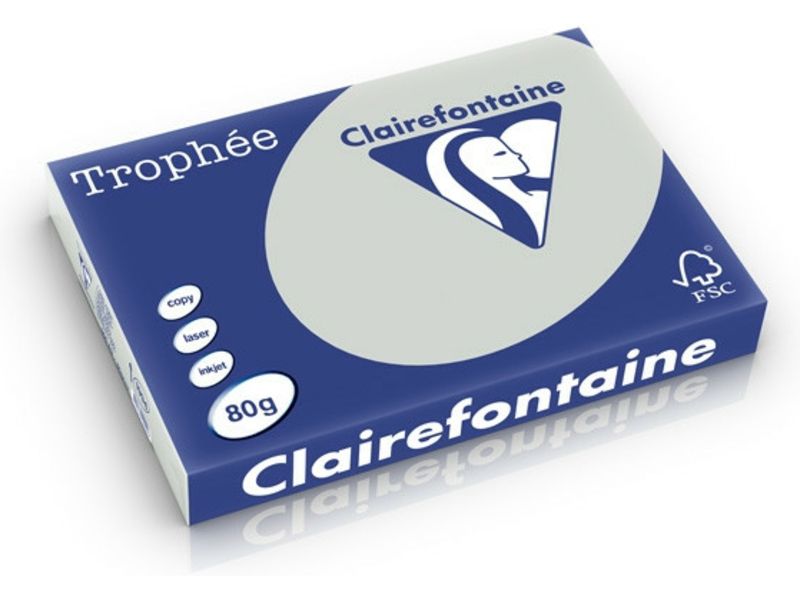 Clairefontaine Hellgrau A4 Farbiges Papier 80 g/m² (500 Blatt)