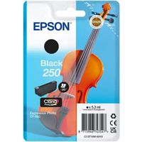 Epson 250 (C13T16N14010) - Schwarz - Druckerpatrone