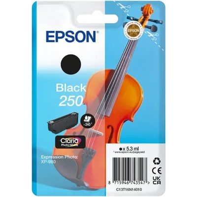 Epson 250 (C13T16N14010) - Schwarz - Druckerpatrone