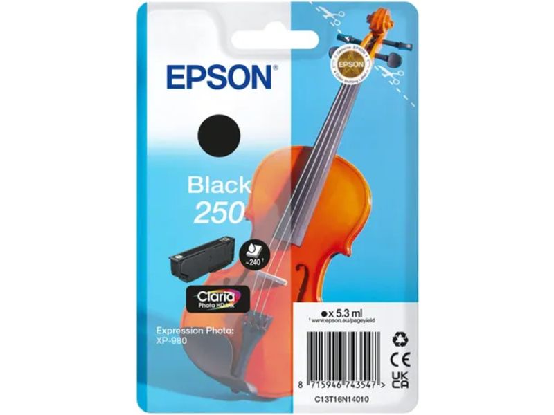 Epson 250 (C13T16N14010) - Schwarz - Druckerpatrone