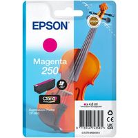 Epson 250 (C13T16N34010) - Magenta - Druckerpatrone