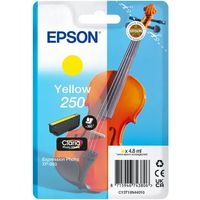 Epson 250 (C13T16N44010) - Gelb - Druckerpatrone