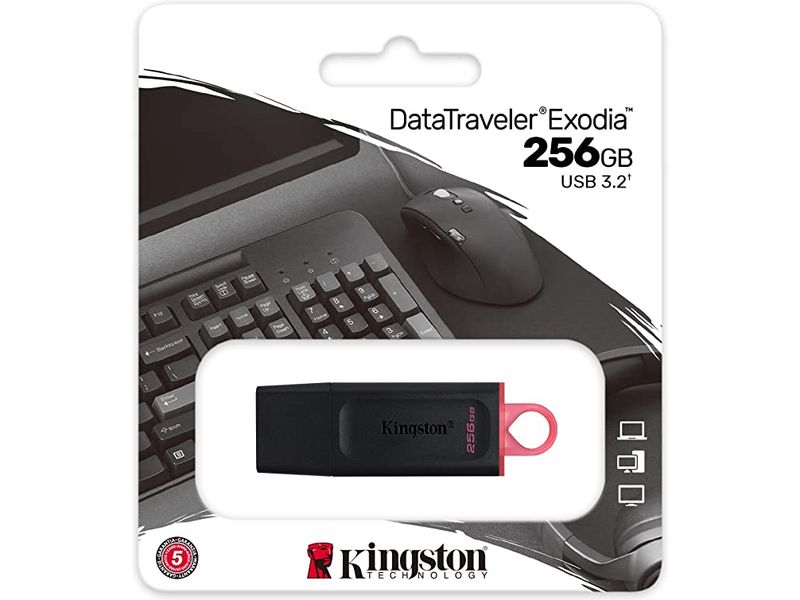 Kingston 256GB USB3.2 Gen1 DataTraveler Exodia (Black + Pink) - USB-Stick